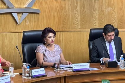 A pesar de haber llevado este fin de semana al descrédito y la ignominia al Instituto Electoral de la Ciudad de México (IECM), su presidenta, Patricia Avendaño le falló a Morena y a Claudia Sheinbaum, quien la puso en ese cargo en una negociación con Lorenzo Córdova, en 2022. FOTO: Especial