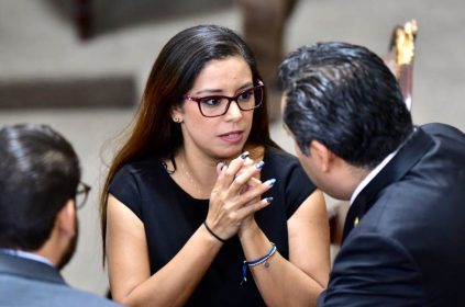 La diputada y vicecoordinadora del PAN en el Congreso de la Ciudad de México, Luisa Gutiérrez Ureña denunció la proliferación de clínicas clandestinas en CDMX, y urgió identificarlas para poderlas clausurar, ya que ponen en riesgo la salud de los capitalinos. FOTO: Especial